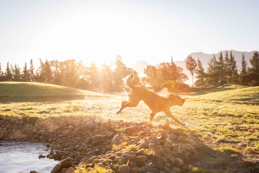 0 Bedroom Property for Sale in Paarl Valleij Lifestyle Estate Western Cape